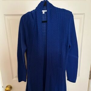 Blue Sweater